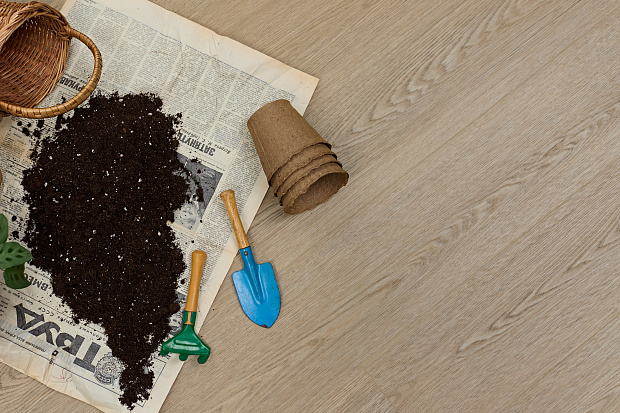 SPC-ламинат Steinholz Element Баум STH069E