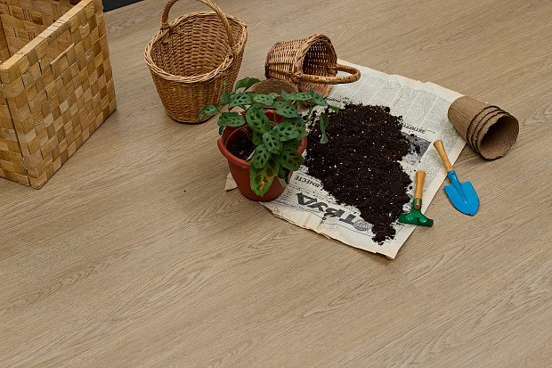 SPC-ламинат Steinholz Element Баум STH069E