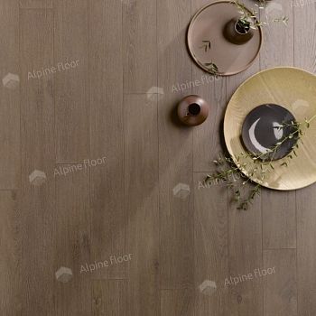 Ламинат Homflor Patio 560