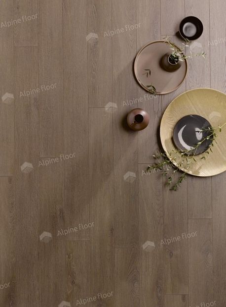 Ламинат Homflor Patio 560
