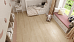 SPC-ламинат Alpine Floor Grand Sequoia ECO 11-24 MC - фото №3