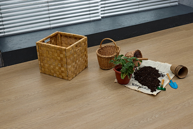 SPC-ламинат Steinholz Element Баум STH069E