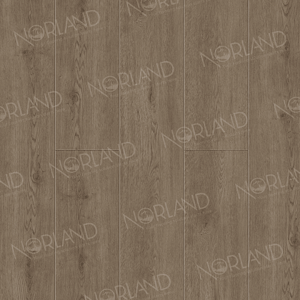 SPC-ламинат Norland Sigrid Plus 1006-3