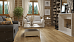 SPC-ламинат Alpine Floor Grand Sequoia ECO 11-31 MC - фото №2