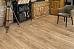 SPC-ламинат Alpine Floor Grand Sequoia Light ЕСО 11-501 MC - фото №1