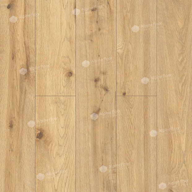 SPC-ламинат Alpine Floor by Classen Pro Nature 62539