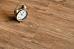 SPC-ламинат Alpine Floor Grand Sequoia Superior ABA ECO 11-703 MC - фото №1