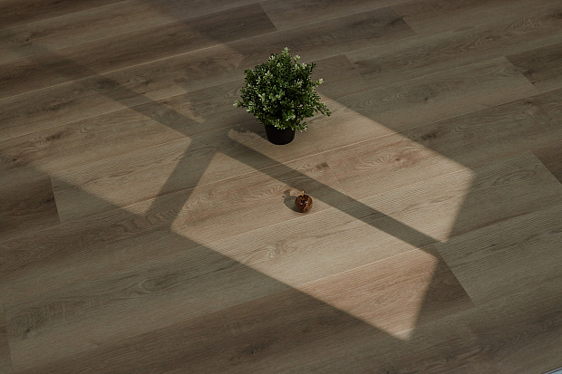 SPC-ламинат Steinholz Prime Фердинанд STH032