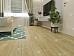 SPC-ламинат Alpine Floor Classic Light ECO 135-66 MC - фото №1