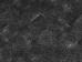 Fine Floor - Stone Шато Миранда (FF-1455) - фото №2