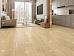 Кварц-винил Alpine Floor Easy Line ЕСО 3-31 - фото №1