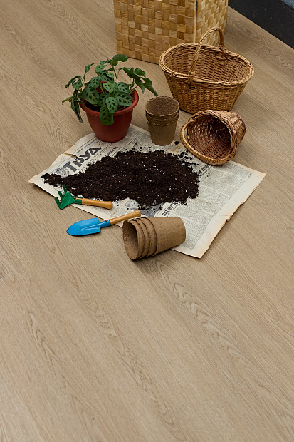 SPC-ламинат Steinholz Element Баум STH069E