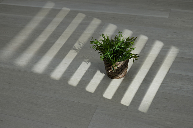 SPC-ламинат Steinholz Element Химмель STH049E