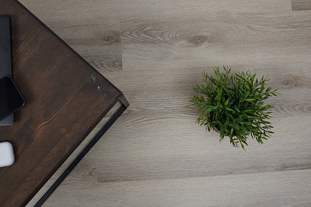 SPC-ламинат Steinholz Prime Прилау STH029