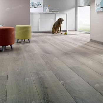 Ламинат Homflor Strong 437
