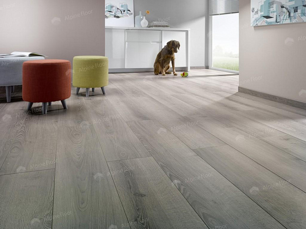 Ламинат Homflor Strong 437