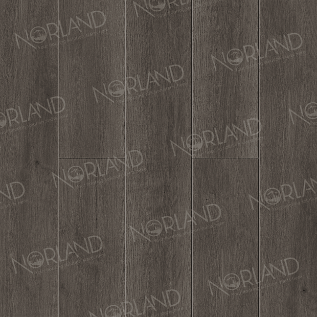 SPC-ламинат Norland Sigrid Plus 1006-2