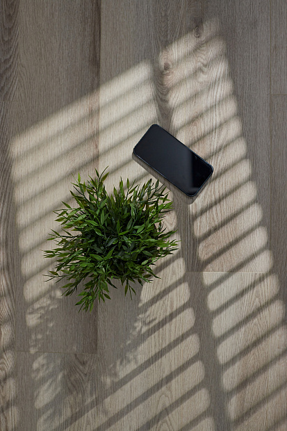 SPC-ламинат Steinholz Prime Прилау STH029