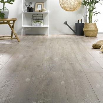 Ламинат Homflor Strong 536