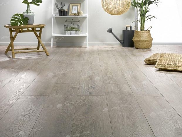 Ламинат Homflor Strong 536