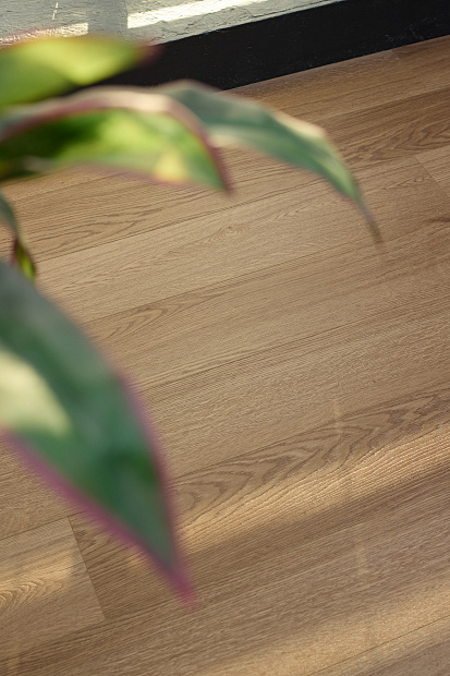 SPC-ламинат Steinholz Element Нэбель STH064E